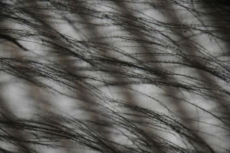 科學(xué)家研制出消音涂層 使風(fēng)力發(fā)電機(jī)安靜工作