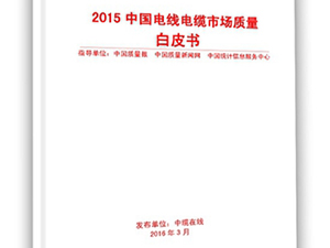 ��2015늾���|�Ј�(ch��ng)�|(zh��)����Ƥ������ʽ�l(f��)��